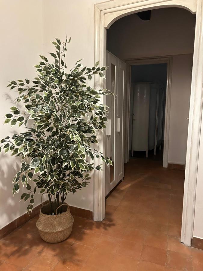 La Casa Di Gioia Apartment Ostia Antica Bagian luar foto